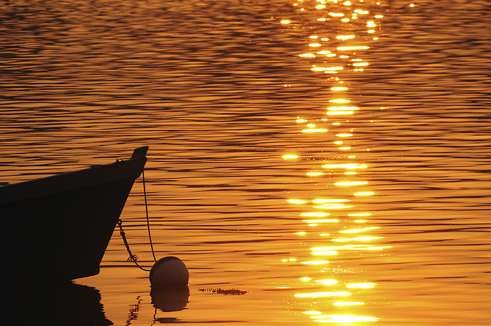 An anchored rowboat in golden sunlight at sunrise.; Orleans, Cape Cod, Massachusetts., by Darlyne Murawski / Design Pics