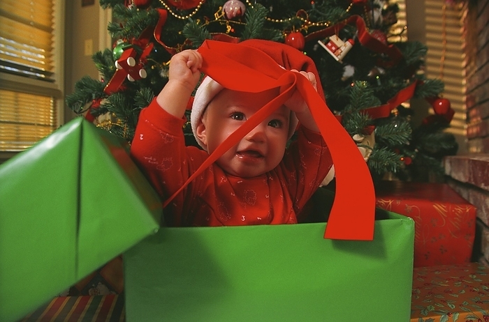 Toddler In Gift Box Under A Christmas Tree, by Carson Ganci / Design Pics