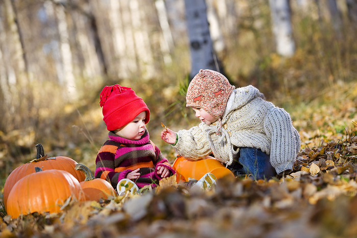 Two Young Girl Toddlers Playing In The Fall Leaves Next To Pumpkins In A Forested Area Of Anchorage In Southcentral Alaska, by Kevin G. Smith / Design Pics