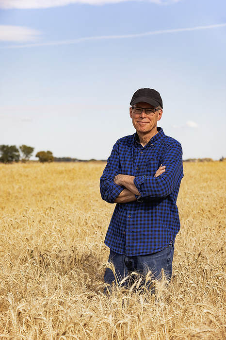 Portrait of a farmer looking at the camera while standing in a fully ripened grain field during the fall harvest; Alcomdale, Alberta, Canada, by LJM Photo / Design Pics