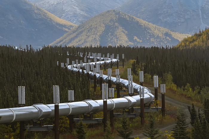 Part of the Trans-Alaska oil pipeline system; Alaska, United States of America, by Michael Melford / Design Pics