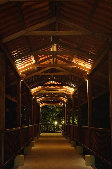 Covered Walkway In Rainforest Resort; Costa Rica, by Corey Hochachka / Design Pics