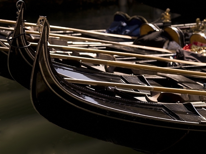 Gondolas; Venice, Italy, by Keith Levit / Design Pics