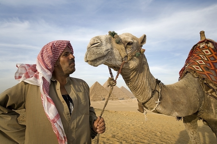 A Man In The Desert With A Camel And The Pyramids In The Background; Cairo,Egypt,Africa, by Deddeda / Design Pics