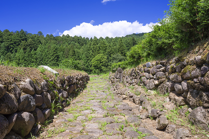 Ruins of Nanyaboin, Katsuyama City, Fukui Prefecture Ruins of medieval stone pavements and earthen walls Japanese Heritage: A Journey to Open the Door to 400 Years of History  Medieval and Early Modern Town Planning Deciphered from Stones Echizen, Fukui 