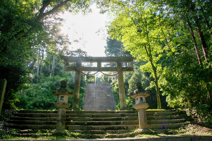 Approach to an old shrine