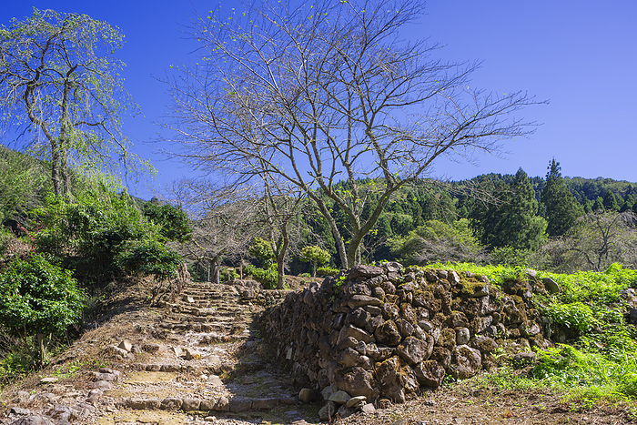 Ichijodani Asakura Clan Ruins Fukui City, Fukui Prefecture 100 Great Castles of Japan No.37 