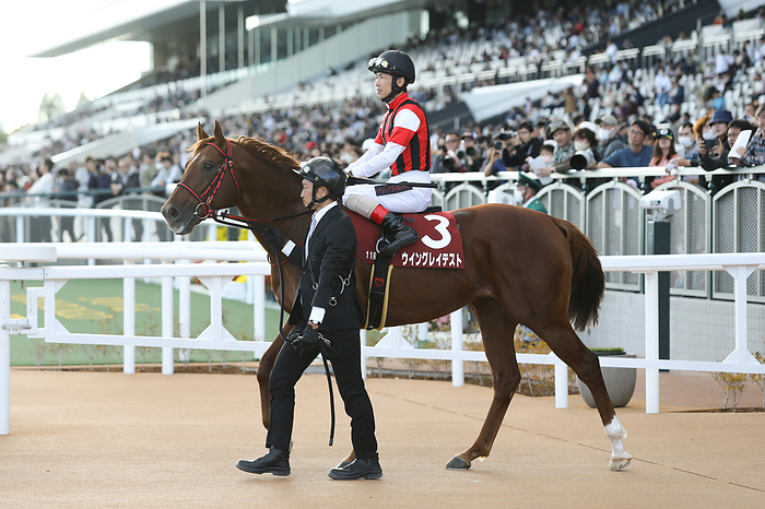 2023 Swan Stakes G2             Win Greatest and Masami Matsuoka before the MBS Sho Swan Stakes at Kyoto Racecourse in Kyoto, Japan, October 28, 2023.  Photo by Eiichi Yamane AFLO 