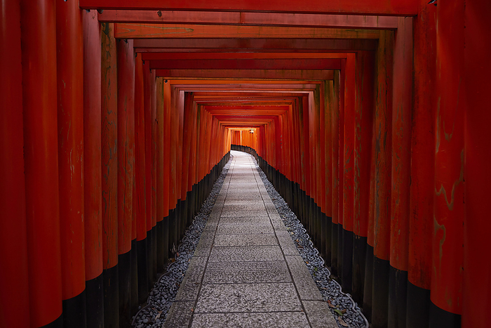 Senbon-torii (Thousand torii) at Fushimi Inari-taisha shrine