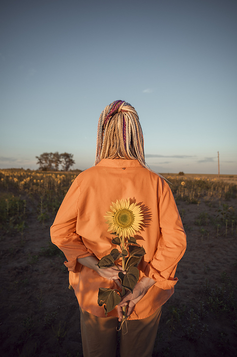 Woman holding sunflower in field at sunset