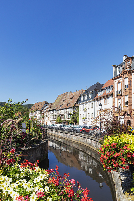 Visambourg, France France, Grand Est, Wissembourg, Houses along Canal Lauter with blooming flowers in foreground