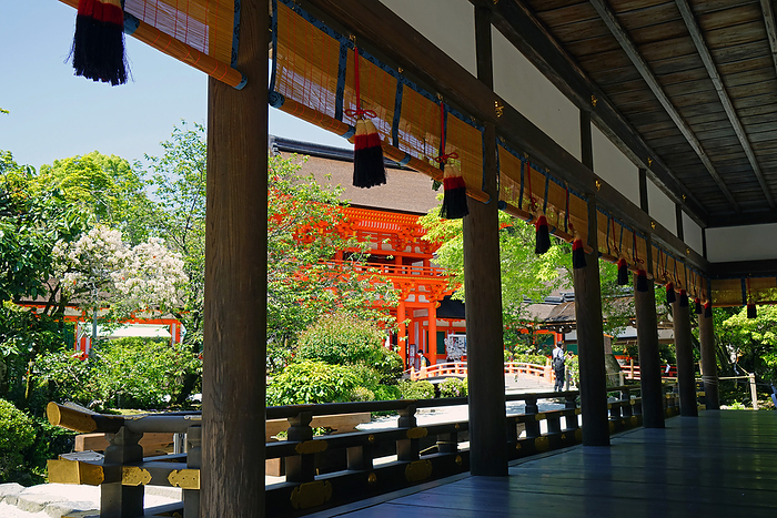 World Heritage Site Kamigamo Shrine Hashiden and Toromon Gate  back  Kyoto Pref.                                