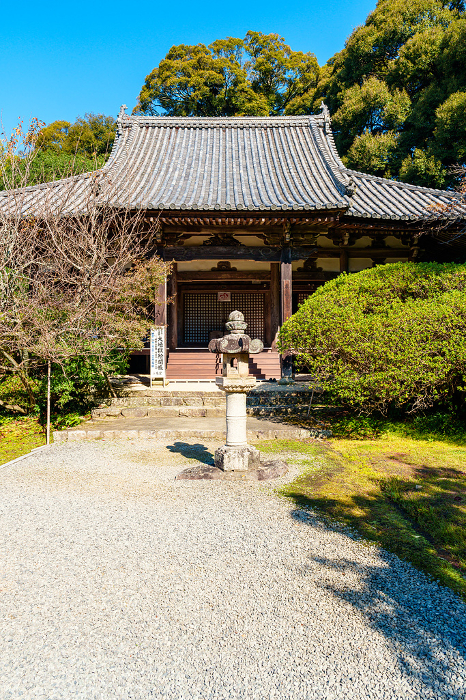 Nara Prefecture] Chogakuji Temple, Tenri City (Taken on Nov. 01, 2023)