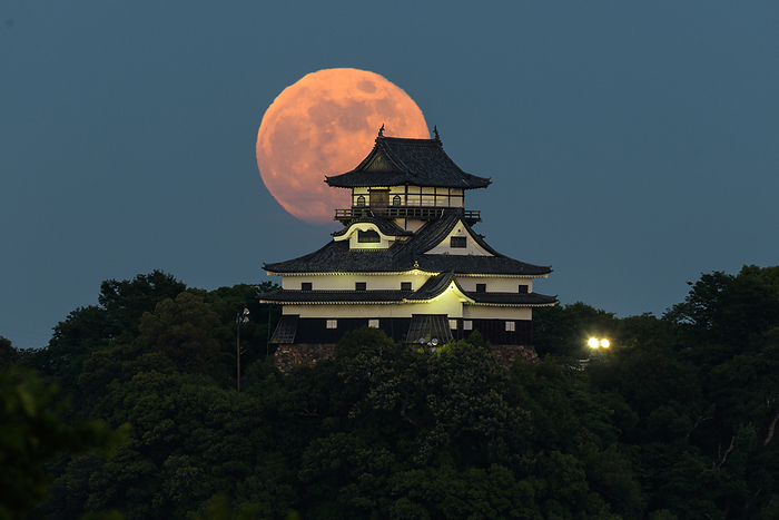 Inuyama Castle and full moon