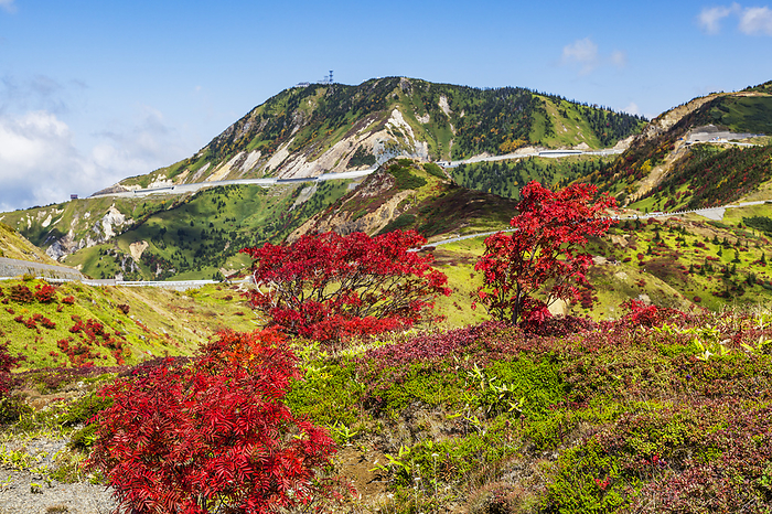 Autumn leaves of Nanakamado near Yamada Pass and Yokoteyama Gunma Pref.  