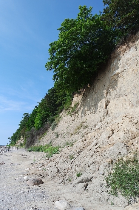 Cliffs off Groemitz, Baltic Sea Cliffs off Groemitz, Baltic Sea, by Zoonar Gabriele Sitn