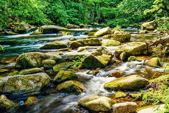 A view of the Bode river bed in the Harz Mountains A view of the Bode river bed in the Harz Mountains, by Zoonar Andreas V lk