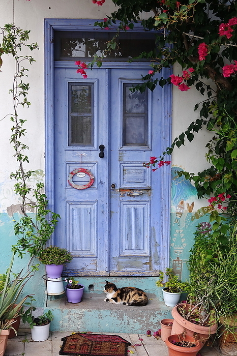 Cat at a house in Koskinou, Rhodes Cat at a house in Koskinou, Rhodes, by Zoonar Volker Rauch