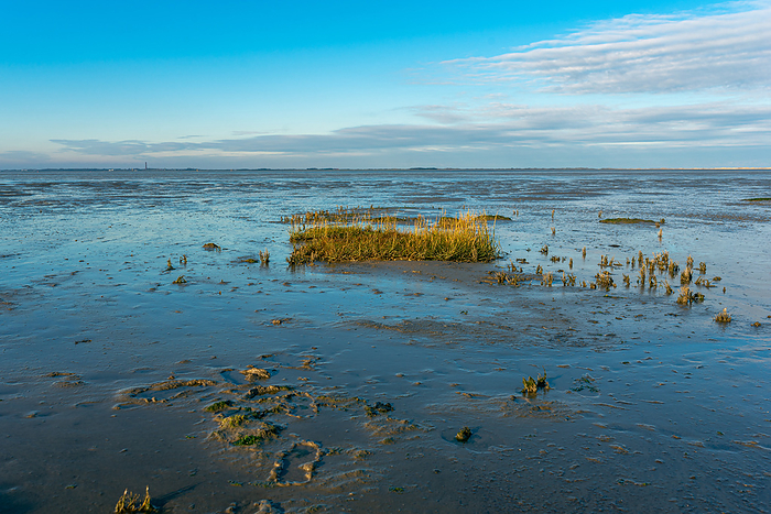 Low tide in the Wadden Sea near Hilgenriedersiel on the East Frisian North Sea coast Low tide in the Wadden Sea near Hilgenriedersiel on the East Frisian North Sea coast, by Zoonar Stefan Laws