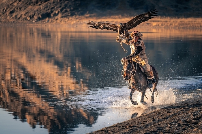 Mongolian eagle hunter, Kazakh rides on horseback through water with trained eagle, Bayan-Olgii province, Mongolia, Asia, by Bayar Balgantseren