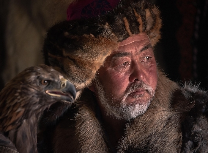 Mongolian eagle hunter, Kazakh with trained eagle, portrait, province Bajan-Ölgii, Mongolia, Asia, by Bayar Balgantseren