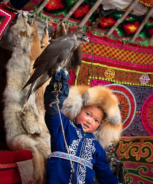 Young falcon hunter, happy boy with trained falcon, Bajan-Ölgii province, Mongolia, Asia, by Bayar Balgantseren