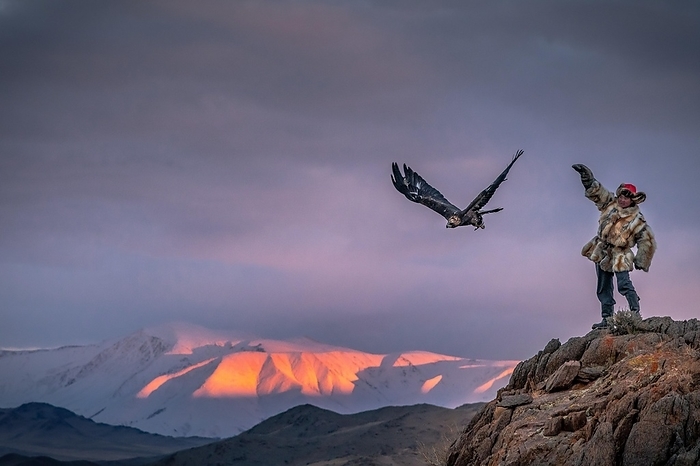 Mongolian eagle hunter with launching eagle on rock, Bajan-Ölgii-Aimag province, Mongolia, Asia, by Bayar Balgantseren