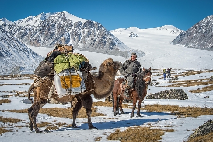 Mongolian shepherd on horseback with a clumsy animal with luggage takes two tourists to the Mongolian Altai Mountains, Bayan-Ulgii Province, Mongolia, Asia, by Bayar Balgantseren