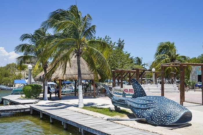 Whale shark, dummy, Isla Holbox, Quintana Roo, Mexico, Central America, by Schoening