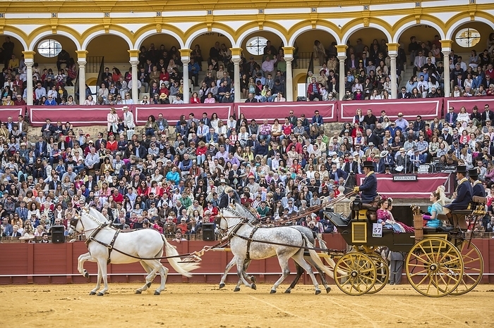 Plaza de Toros, bullring, horse-drawn carriage, Feria de Abril folk festival, Seville, Andalusia, Spain, Europe, by Clara Montes