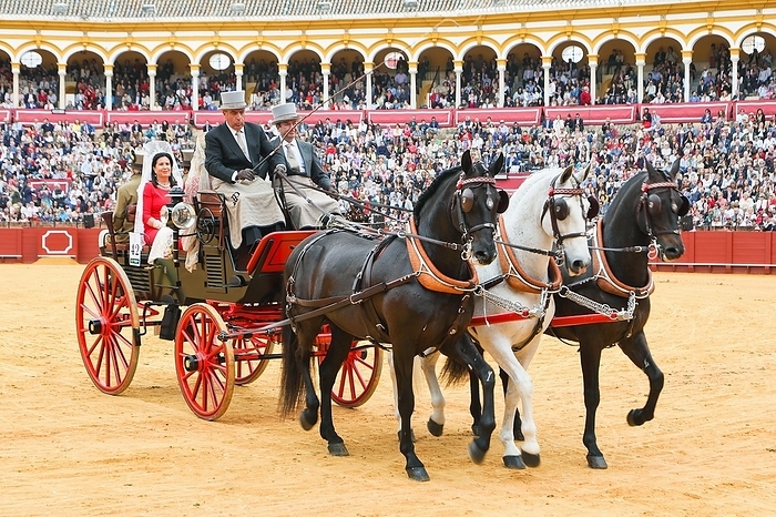 Plaza de Toros, bullring, horse-drawn carriage, Feria de Abril folk festival, Seville, Andalusia, Spain, Europe, by Clara Montes