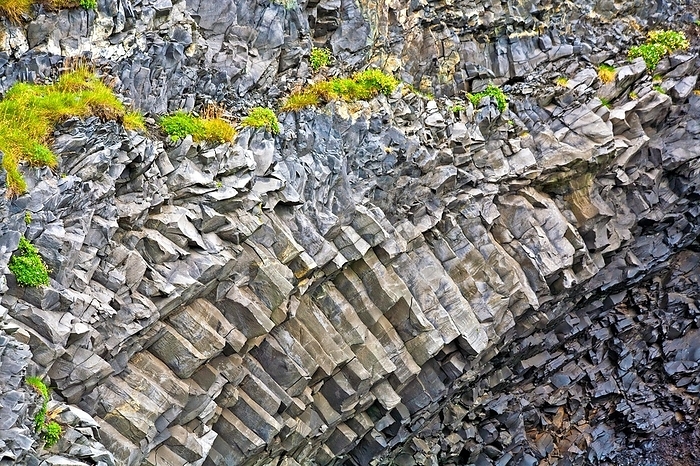 Iceland Bird Rock Reynisfjara Halsanefshellir, Iceland, Europe, by Raimund Franken