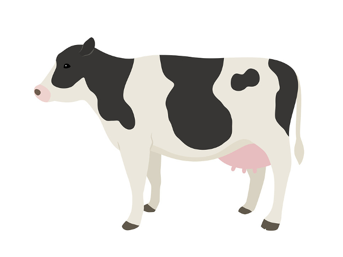 Clip art of cow(Holstein)