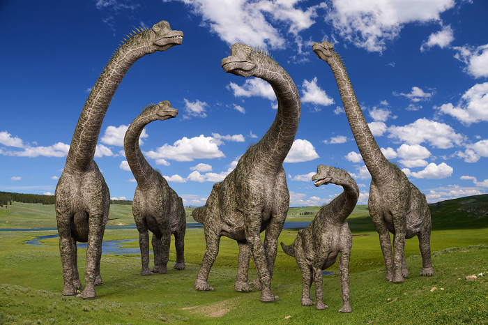 A herd of brachiosaurs walking in the majestic nature