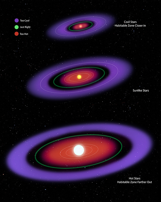 Habitable zones, illustration Illustration of habitable zones, which are also known as Goldilocks zones. This is the area around a star where planets can support liquid water on their surfaces. At top is a cool star, where an orbiting planet must be close to the star to maintain a warm enough temperature for liquid water. At middle is a sun like star, where an orbiting planet can be further away and still support liquid water in comparison to a cool star. At bottom is a hot star, where an orbiting planet must be far away before liquid water is able to exist., by MARK GARLICK SCIENCE PHOTO LIBRARY