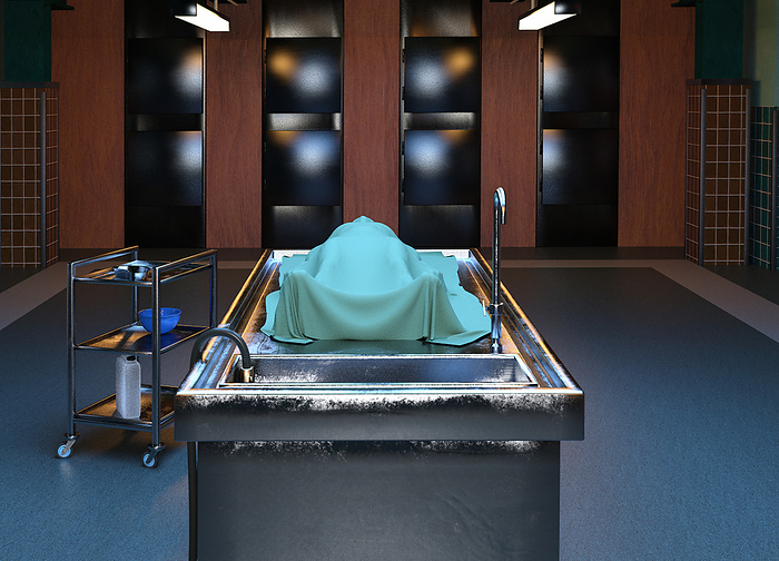 Morgue, illustration Illustration of a modern morgue., by VICTOR HABBICK VISIONS SCIENCE PHOTO LIBRARY