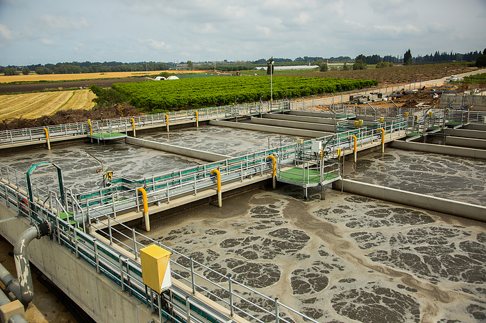 Secondary sedimentation pools Sewage treatment facility. In secondary sedimentation pools the sludge is removed to the sludge treatment. The treated water is then used for irrigation and agricultural use. Photographed near Hadera, Israel., by PHOTOSTOCK ISRAEL SCIENCE PHOTO LIBRARY
