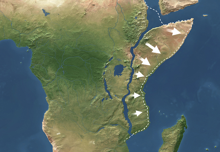 Africa splitting due to the East African Rift, illustration Illustration showing how Africa is splitting in two due to the East African Rift, a divergent tectonic plate boundary. As a result, a part of eastern Africa will have its own coastline and will be separated from the rest of the continent. Scientists believe that the appearance of a 56 kilometre crack across the Ethiopian desert in 2005 is evidence of this phenomenon. It is estimated that it will take around 5 to 10 million years before a new ocean forms and divides the continent into two separate land masses., by CLAUS LUNAU SCIENCE PHOTO LIBRARY