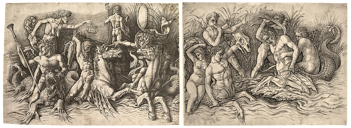 Battle of the Sea Gods Battle of the Sea Gods by Andrea Mantegna ca. 1485 88. This engraving by Mantegna, court painter to the Gonzaga family in Mantua, manifests the revival of classical antiquity during the Italian Renaissance through the choice of subjects and the emphasis on the naturalistic rendering of the human form. Using strategically placed parallel lines, Mantegna creates a compelling sculptural effect in this frenzied aquatic battle, which was inspired by friezes on ancient Roman sarcophagi. The enigmatic scene is presided over by the vice Envy embodied by the emaciated woman on the left who carries a tablet inscribed with the Latin word for Envy, INVID  IA . Metropolitan Museum of Art., by DAVID PARKER SCIENCE PHOTO LIBRARY