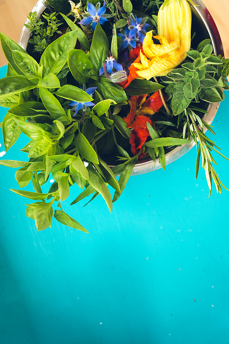 Freshly Picked Herbs From A Home Garden in Denmark, by Cavan Images / Emily Wilson Photography