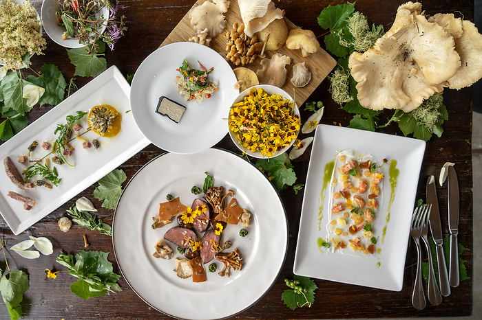 Overhead view of foraged ingredients and a plated dish on table, by Cavan Images / Mark Lipczynski