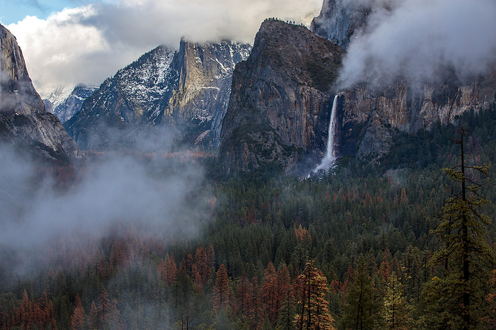 Bridalveil Falls in winter in Yosemite Valley, Yosemite National Park., by Cavan Images / Steele Burrow