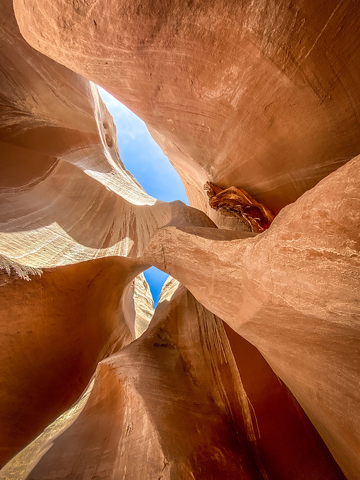 An arch is nestled in a red rock slot canyon near Kanab, Utah, by Cavan Images / Suzanne Stroeer