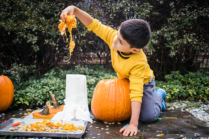 Close up of young boy dangling pumpkin pulp and seeds in hand.  Close up of young boy dangling pumpkin pulp and seeds in hand., by Cavan Images   Sara Taylor