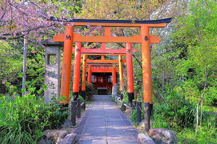 Shojo-doriki Inari Shrine at Hirano Shrine and the stone monument at Sakura-ike, Kyoto City, Kyoto Prefecture