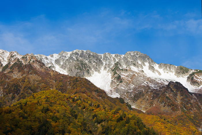Tateyama, a collaboration of blue sky, autumn leaves and snow