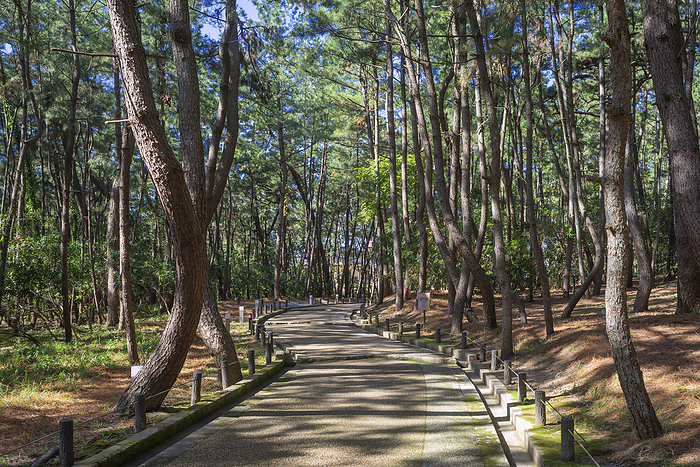 Ataka Park Komatsu City, Ishikawa Prefecture