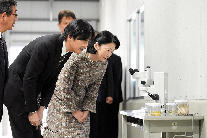 Prince and Princess Akishino look at a display of specimens of whitebait fish, from the fry that hatched from fertilized eggs to the full grown adults, at 9:47 a.m. on November 11, 2023, in the city of Oyashiro, Ibaraki Prefecture  Photo by Representative  Prince and Princess Akishino look at a display of specimens of whitebait fish, from the fry that hatched from fertilized eggs to the full grown adults, at 9:47 a.m. on November 11, 2023, in the city of Oyashiro, Ibaraki Prefecture  Photo by Representative 