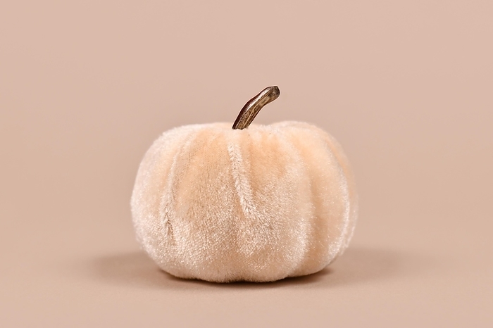 Cream colored pumpkin decoration made from velvet fabric on beige background, by Firn
