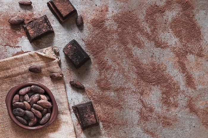 Scattered cocoa powder with chocolate pieces cocoa beans bowl. Beautiful photo, by Oleksandr Latkun